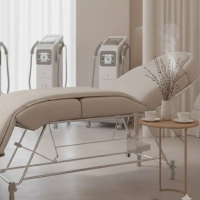 �����ʳ����ŵ